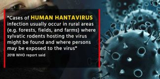 Un nou virus lovește China! Hantavirus a ucis deja un om