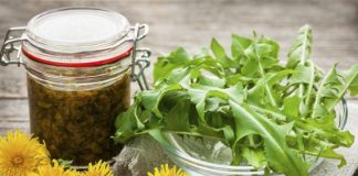 Păpădia vindecă cancerul, hepatita, bolile de ficat, rinichi si stomac