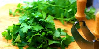 Pătrunjelul este indicat în tratarea afecțiunilor pulmonare, ale stomacului, vezicii urinare și ficatului