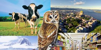 20 de curiozități depre lumea în care trăim