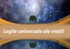 Cele 7 legi universale ale vieții – Nu le încălca și îți va merge bine