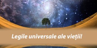 Cele 7 legi universale ale vieții – Nu le încălca și îți va merge bine