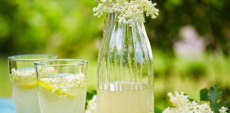 Socata cu lâmâie – Rețeta simplă sau rețeta tradițională cu drojdie?