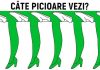 Test de atenție – Câte picioare vezi?