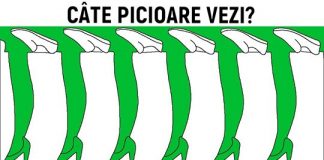 Test de atenție – Câte picioare vezi?
