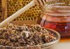 Propolis – Cel mai puternic medicament oferit de natură – Află cum să prepari tinctura de propolis