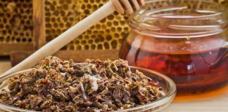 Propolis – Cel mai puternic medicament oferit de natură – Află cum să prepari tinctura de propolis