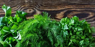 Află cum poți păstra verdeața proaspătă și aromată mai mult timp