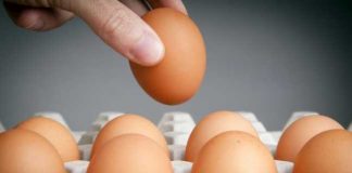 UTIL!!! Trebuie sa stii neaparat acest lucru!!! Află cum recunoști un ou care este vechi și nu ar trebui consumat