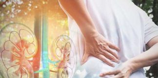 Remedii naturale din plante pentru a menţine rinichii sănătoşi