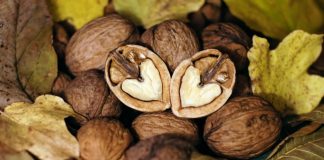 Nucile au multe beneficii pentru organism – Iată care sunt acestea