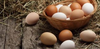 Beneficiile consumului de ouă – De ce ar trebui să mănânci ouă zilnic?