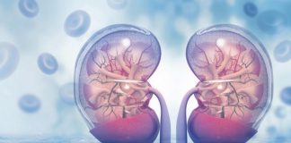 10 obiceiuri care îți distrug rinichii – Încearcă să le eviți pe cât posibil