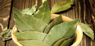Beneficiile nebănuite ale frunzelor de dafin