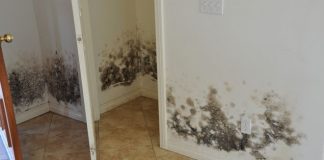 Spune adio mucegaiului fără produse chimice și foarte simplu