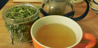 Ceaiul din frunze de măslin, leac pentru bolile comune
