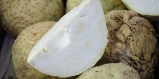 Așa îți cureți și îți regenerezi ficatul în doar 3 zile fără să iei medicamente, e ca si cum ai unul nou! Uite ce trebuie să faci cu o țelină