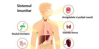 Semne și simptome ale unui sistem imunitar slab – Află cum îți poți crește imunitatea în mod natural