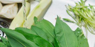 Cura de 10 zile cu LEURDĂ face minuni pentru sănătate