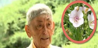 Sfaturile doctorului farmacist Ovidiu Bojor – cum sa ne regenerăm FICATUL