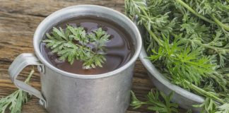 Ceaiul de PELIN – proprietăți și beneficii pentru sănătate