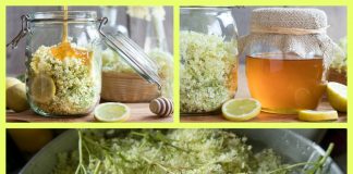 Sirop de soc – Mod de preparare și beneficii