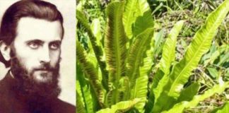 Leacul recomandat de Arsenie Boca pentru eliminarea pietrelor de la fiere