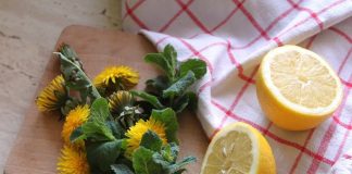 Metode naturale de detoxifiere a ficatului – plante, alimente, stil de viață