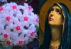 Lacrima Maicii Domnului, floarea care produce mir. De ce s-o ai în casă și grădină