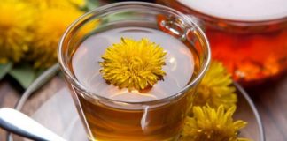 Păpădia poate trata cancerul, hepatita, bolile de ficat, rinichi și stomac – Cum trebuie consumată