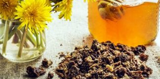 Propolisul – distrugătorul de bacterii producătoare de infecții respiratorii