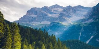 21 DE CURIOZITATI INTERESANTE DESPRE LUME