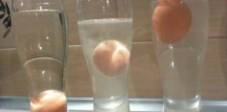 Pentru a vă ușura munca și viața, v-am pregătit câteva sfaturi care vă vor fi de mare ajutor