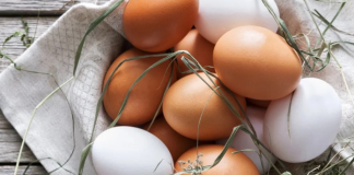 Ouăle – cat sunt de sănătoase? Sunt mai bune ouăle de la găini crescute liber decât de la găini crescute in hale?