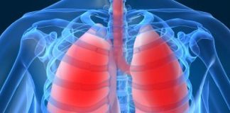 7 alimente care susțin sănătatea plămânilor 16