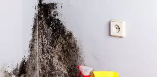 Cum sa eliminati mucegaiul de pe pereti, astfel incat sa nu mai revina niciodată