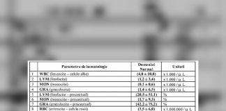 Cum să îți descifrezi singur buletinul de analize medicale