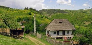 Locuiești la sat și vrei să faci bani? Uite doar cinci moduri în care poți să faci bani frumoși fără să pleci din sat