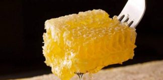 Căpăceala de la fagurele de miere vindecă ficatul şi plămânii şi reglează metabolismul – Cum se consumă