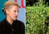 Cimbrul este cea mai puternică plantă din lume – dr. Daniela Bușneag
