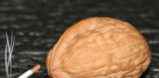 Iată cum poți să scapi pentru totdeauna de fumat! Ai nevoie doar de o nucă uscată și puțină apă!