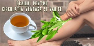 Ceai pentru vene – bun pentru varice, tromboflebite, ateroscleroză
