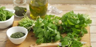 Cel mai puternic analgezic, antialergic, antiinflamator, antibacterian, diuretic, energizant și imunostimulator natural!