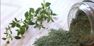 Tratamentul cu CIMBRU care vă poate ajuta în astm, pneumonie, infecţii respiratorii, tuberculoză