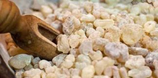 Combate cele mai urâte boli şi afecțiuni – Tămâia, Darul Sfânt pentru sănătatea noastră