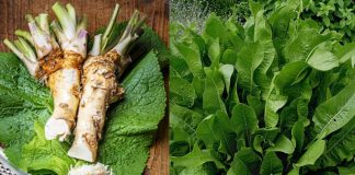 Cataplasmele cu HREAN – utile in dureri, inflamatii, afectiuni ale pielii si respiratorii