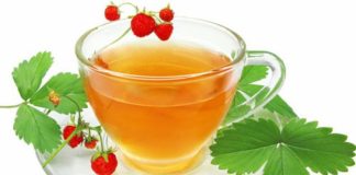 Ceaiul din frunze de căpşuni este recomandat pentru tratarea multor afecțiuni