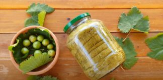 Frunze de Viță-de-Vie pentru iarnă – Iată cea mai simplă și cea mai bună metodă de conservare!