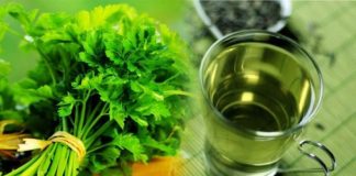 Ceaiul din frunze și tulpini de pătrunjel – o băutură cu valori terapeutice extraordinare (preparare și beneficii)
