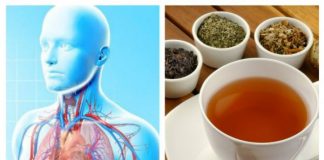 Ceaiuri pentru purificarea Plămânilor – inclusiv pentru fumători şi pentru cei care s-au lăsat de fumat